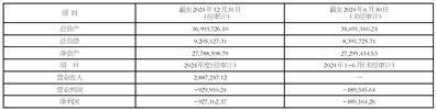 江西黑猫炭黑股份有限公司2025半年度报告摘要
