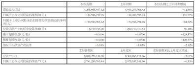 江西黑猫炭黑股份有限公司2025半年度报告摘要