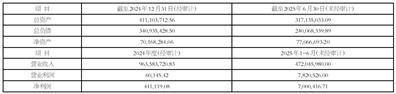江西黑猫炭黑股份有限公司2025半年度报告摘要