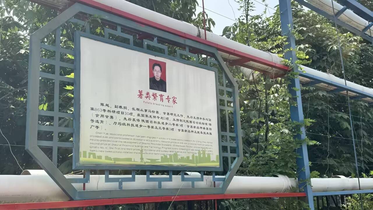 科技赋能，“薯”写辉煌