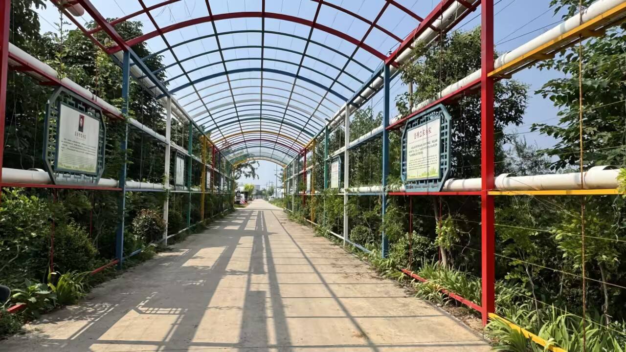 科技赋能，“薯”写辉煌