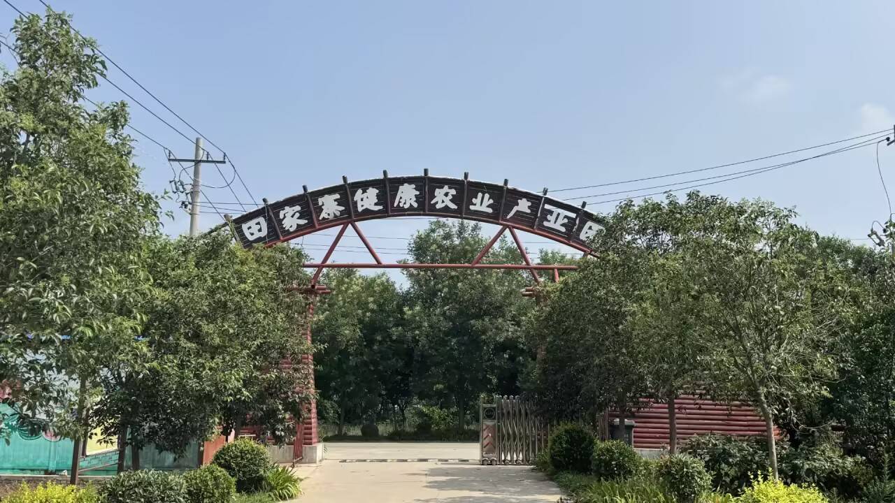 科技赋能，“薯”写辉煌