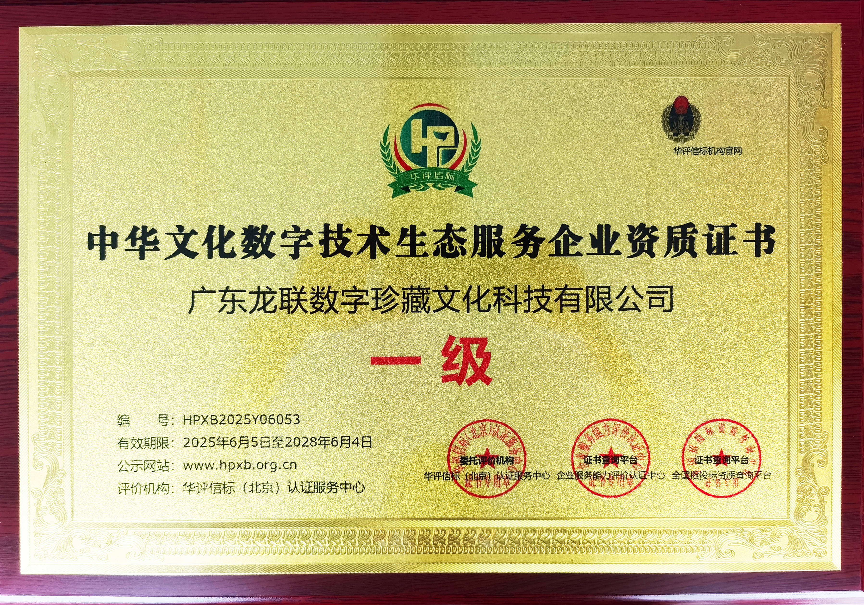 再创辉煌！龙联科技谱新篇