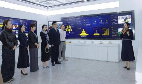 从心出发，向美而行——乐普医疗携手美团医药健康，开启消费医疗新体验